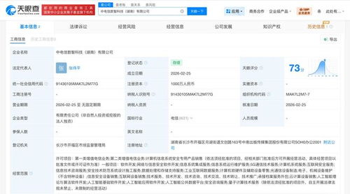 中國(guó)電信布局湖南 成立數(shù)智科技公司，專注網(wǎng)絡(luò)與信息安全